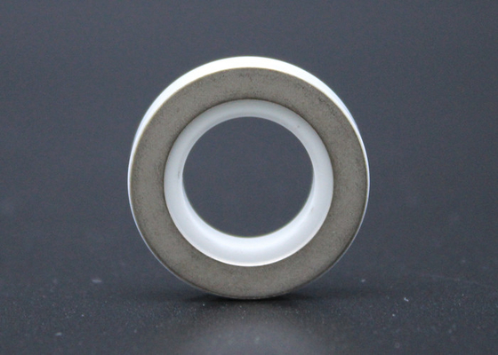 Ossido di alluminio Ring For Power Battery ceramico di 95%